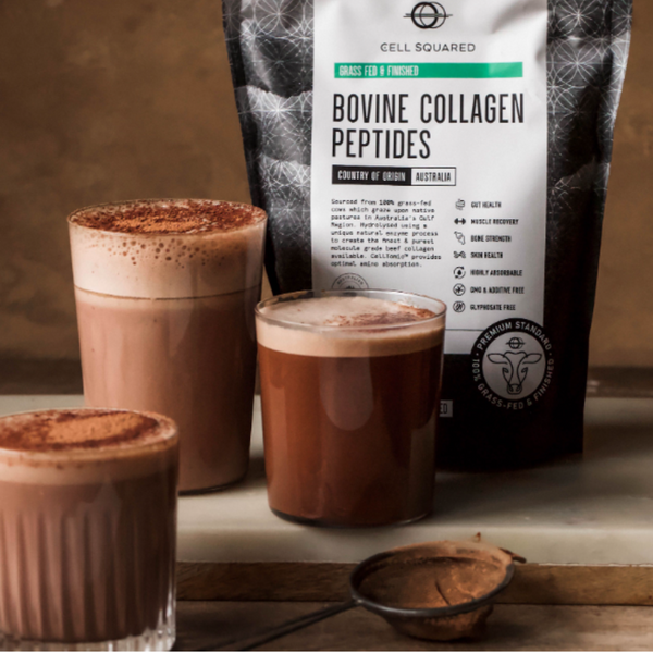 Collagen Loaded Hot Cacao: Nourishing Winter Comfort Drink - Cell Squared