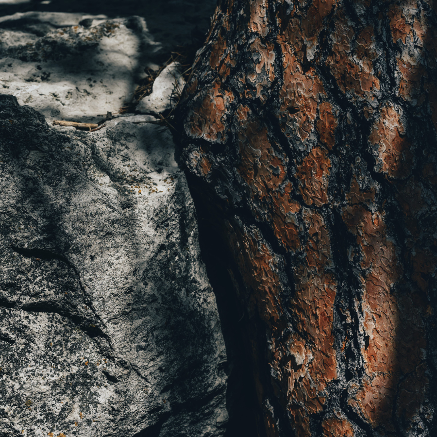 Relationship between iron and copper