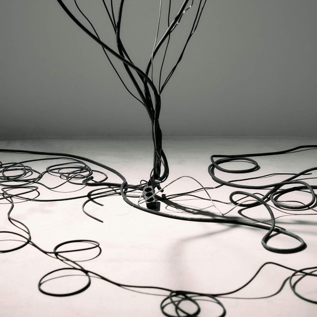 Lymphatic System 101 Guide