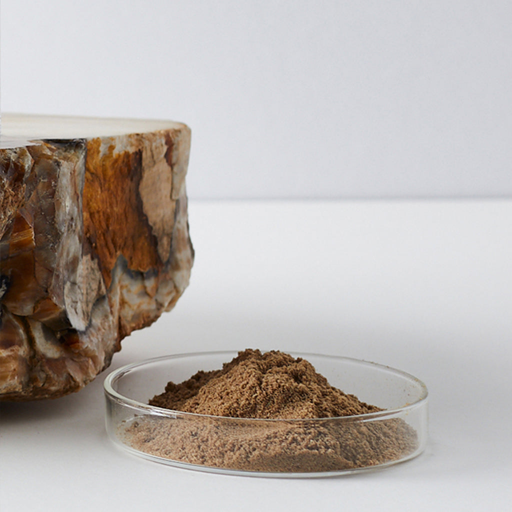 Freeze dried organ meat shop