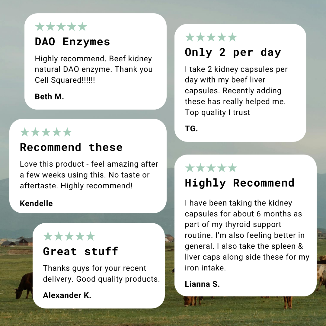 Organic Beef Kidney 3 Month Value Pack - Save 10%