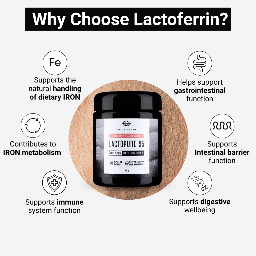 LactoPure 95 Lactoferrin Powder 40g