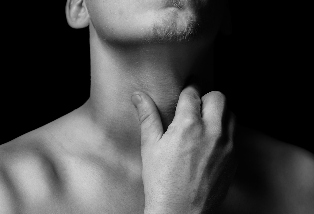 Riboflavin in beef kidney for Thyroid Health 