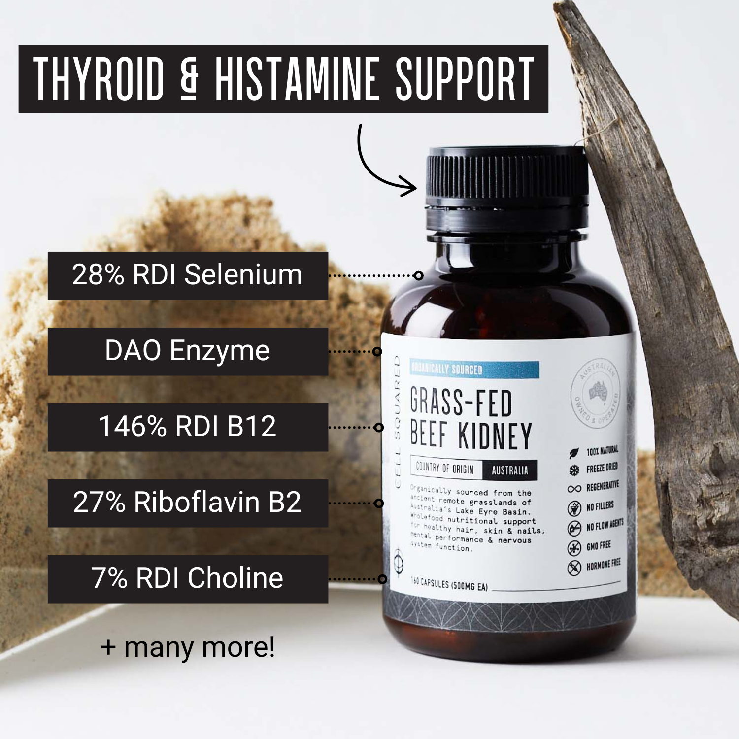 Kidney capsules for thyroid and histamine support
