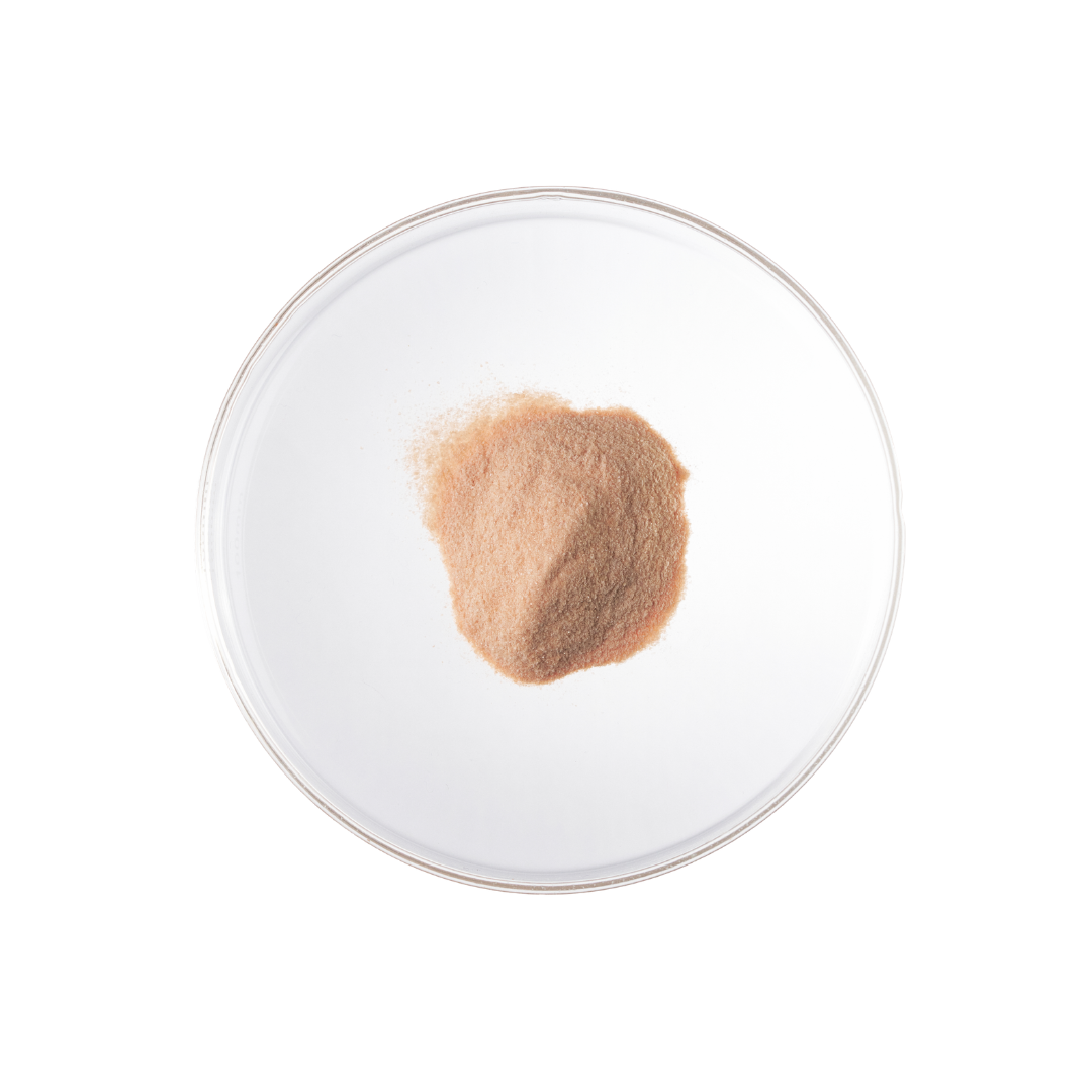 LactoPure 95 Lactoferrin Powder 40g