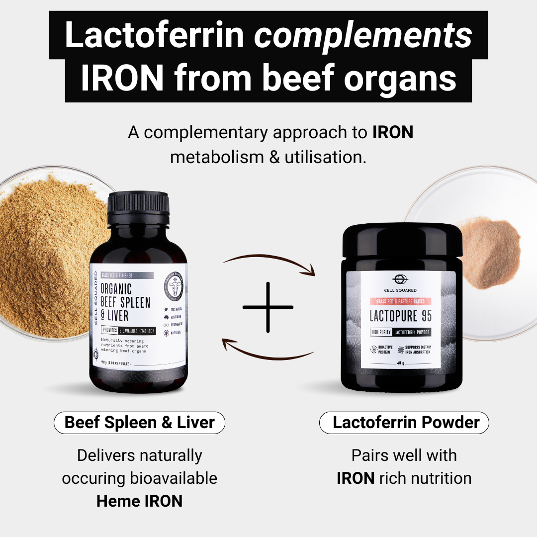 LactoPure 95 Lactoferrin Powder 40g