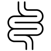 Supports Healthy Gut Environment