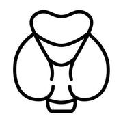 Necessary for the Normal Utilisation of Iodine in the Production of Thyroid Hormones