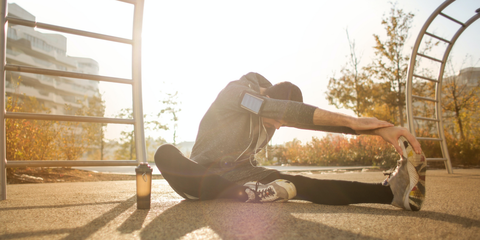 Beef liver to increase iron 